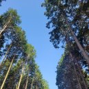 사천케이블카자연휴양림(사천) 이미지