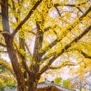 경섭농장 이미지