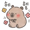 에이스랜트(주) 이미지