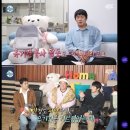 달콩이 한국일보