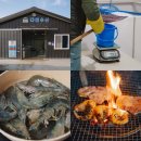 다올수산 | 통영 새우 다올수산 신선한 해산물 포장 후기