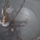 백유리헤어