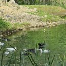 왕조가든 이미지