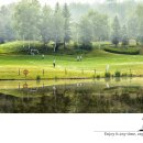 the fairway 이미지