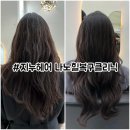 (주) 모발클리닉리브21 | 답십리미용실 샵지누헤어 극손상모 나노힐 복구클리닉