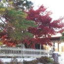 모화2리 이미지