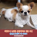 수컷 이미지