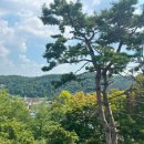 (주)에버워터 | 에버랜드 워터페스티벌 후기｜물놀이·공연·사파리까지 하루종일 즐긴 여름 여행기