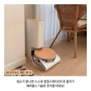 비스포크아이케어 | 24평 삼성로봇청소기 비스포크제트봇AI 워킹맘 진심이에요