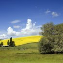 우정농장 이미지