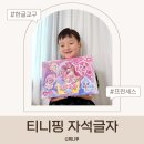 한글자설 | 프린세스 티니핑 자석글자세트 후기 유아 한글·영어·숫자 학습 장난감 추천
