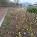 기장지구대 이미지