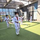 용인대 갈매태권도장 네이버블로그