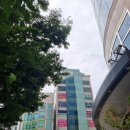 유앤갑외과의원 이미지