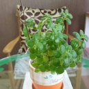 송우중고 이미지