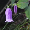 금강고을 이미지