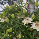 타인노래연습장 이미지