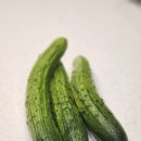 오이작업실