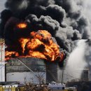 닥터리동물병원 이미지