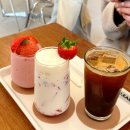 구피애견 | 도안동 카페 글림 대전 애견동반 카페 추천