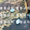 팔팔병원 | 팔팔정 복용법, 부작용, 가격까지 솔직 후기 공유