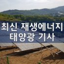 국산 태양광 모듈 업계 외산 수요 증가에 원부자재 이어 모듈산업마저 붕괴 우려 기사 이미지