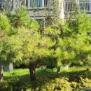 선원4길 이미지