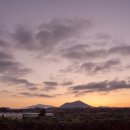 제주에 산다 이미지