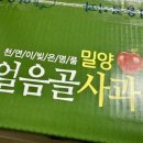 농원축산 | [밀양 얼음골 사과 얼음골 A 농원 후기] 25년 밀양 얼음골 사과 축제 사과 구매 후기