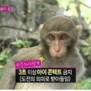 성북 은은한가 이미지