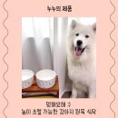 멍해묘해 | 멍해묘해 :) 소형견부터 대형견까지 높이 조절 가능한 강아지 원목 식탁 사용 후기