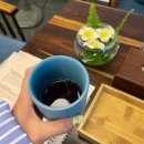 불로사우나 | 나트랑 알리부리조트 전신마사지 사우나 2일째 천국맛본내돈내산후기 (가격,할인,꿀팁,예약)