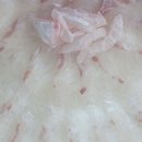 현정이네 이미지