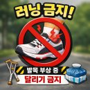 김포제일한의원 | 고양 하프 마라톤 후기? 는 안쓰겠습니다.