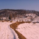 중동2리 Daum카페