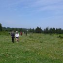 민 목장 이미지