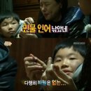 고치 이미지