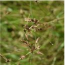 하늘지기 이미지