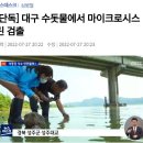 대구 수돗물서 '독성' 마이크로시스틴 검출 논란 이미지