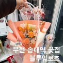 삼원타운 | 부천 송내역 꽃집 블루밍로즈 24시간 가성비 무인 꽃다발 후기