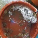 쭈꾸미 마을 이미지