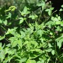 조각공원앞 1 이미지