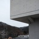 골든트리 이미지