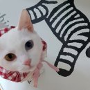 대야초등학교 이미지