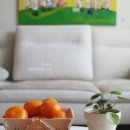 다둥이농장 이미지