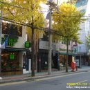 서래마을 이미지