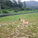 찰리팜하우스 이미지