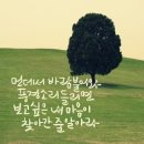 문득 Daum카페