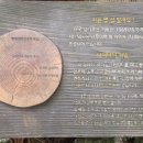 송당빌레 이미지