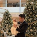 아이조아 | 서울 백일잔치 아이폰 스냅 촬영 아이조아스냅 출장 가격 후기